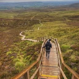 Dasha1385570's profile picture. 