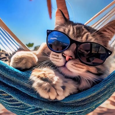 Okpaladaniell's profile picture. DM your thoughts🙌🙌🙌🙌