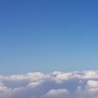 pb (@pbstings) 's Twitter Profile