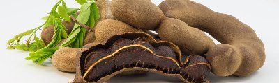 Thai Quality Food Co., Ltd., a prominent organization from Bangkok (Thailand) is involved in manufacturing and exporting a wide range of Tamarind products.