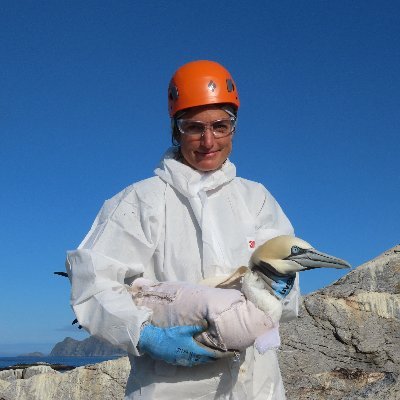 Research Fellow @UofGlasgow | bio-logging, behaviour & metapopulation ecology | seabirds & pinnipeds -- scientist, wild swimmer, knitter, yogi & mother