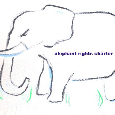 #elephantrightscharterERC demands complete freedom for all elephants.Copy & paste letter to UN. https://t.co/3uBNw5Q5eA