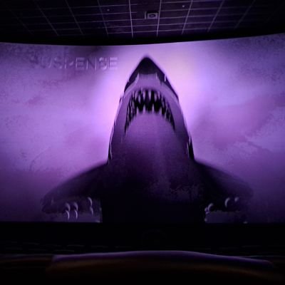 Manx54946196758's profile picture. NTK