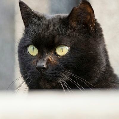 nJTZAULE3i's profile picture. 高齢の父が2023.9に視床の脳出血の後遺症で左半身麻痺。高血圧でイグザレルトを飲んでいました。なんとか後遺症を治したくて情報を集めてます。絶対に回復できる。いいねは応援です。無言フォロー失礼します。