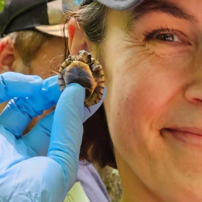 Elliott Professor of Biology, Hampden-Sydney College, VA, USA. Herpetology, disease, behavior, ecology, conservation.