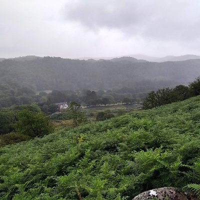 BNocomment's profile picture. 