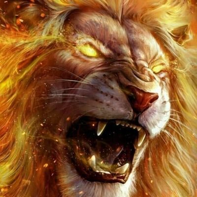 salahtozlok's profile picture. 