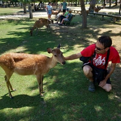 Músico 🎹🎸
Japon lover🇯🇵⛩
Naturaleza y senderismo🏔
Anime🍥
HuffleClaw, 
Cosmeriano,  Literatura Fantástica y SciFi 📚
Power, Folk, Symphonic metal🤘