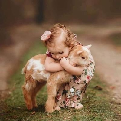 soghrabegum833's profile picture. 