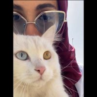 امتنان(@ImtinanAlJabbar) 's Twitter Profile Photo
