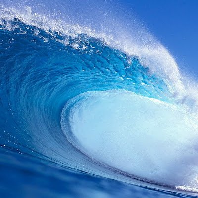 thewaterwave222's profile picture. A person or bot who exists
