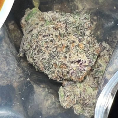 Papi10inch's profile picture. just a nigga with a big dick 💨