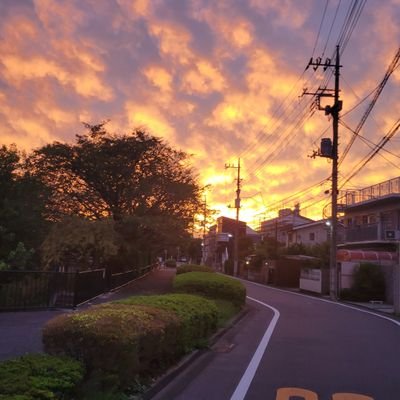 ユウさんのプロフィール画像