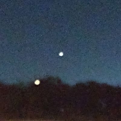 theninjaxdd's profile picture. hola soy theninjaxdd