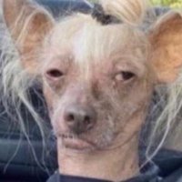 EMERSE FAE LOVE ACCOUNT 🇨🇮 (@tantine2babi) 's Twitter Profile Photo