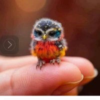 floressiete (@floressiete7) Twitter profile photo