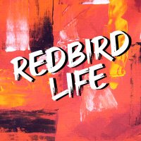 Redbird Life(@Redbird_Life) 's Twitter Profile Photo