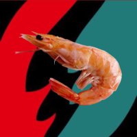 Prawn Speedway (Formerly Grand Valley Speedway)(@grandestvalley) 's Twitter Profile Photo