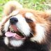 Urufu (@wahredpanda) Twitter profile photo Urufu (@wahredpanda) Twitter profile photo