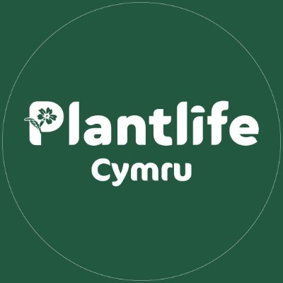 PlantlifeCymru Profile Picture