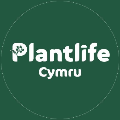 Gweithio i ddiogelu planhigion gwyllt a ffwng Cymru. Rhan o @Love_Plants🌼
Working to protect the wild plants and fungi of Wales. Part of @Love_Plants🌱