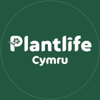 Plantlife Cymru(@PlantlifeCymru) 's Twitter Profile Photo