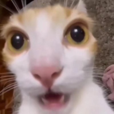 Reeceさんのプロフィール画像