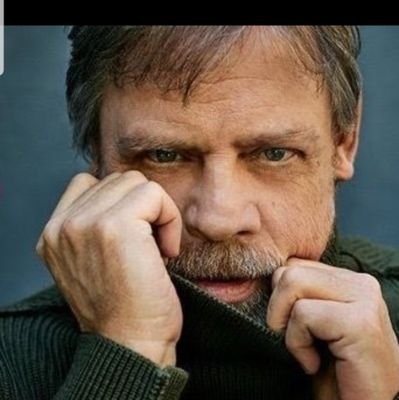fans account for the real Mark Hamill