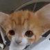 Amski (@amski_) Twitter profile photo Amski (@amski_) Twitter profile photo