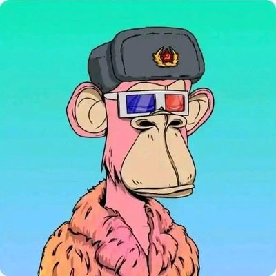 frenzi141563's profile picture. front-end💻 js, wordpress