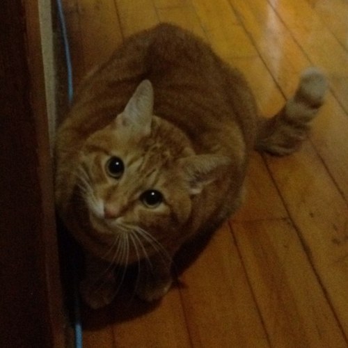 bluemate@2026年もよろしく