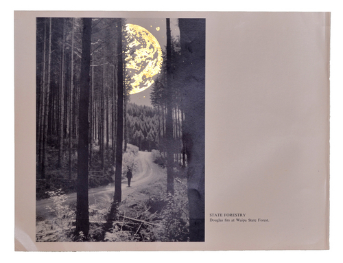 kno_sam's profile picture. London based artist