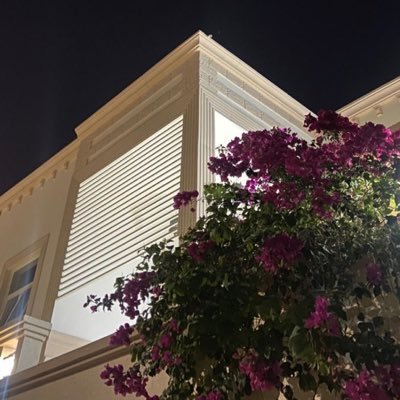 uiisc__'s profile picture. 