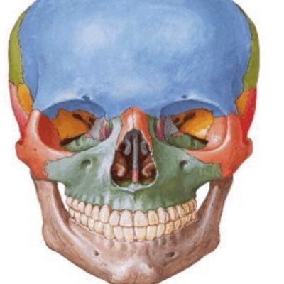 a4link's profile picture. 