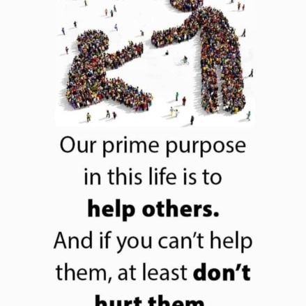 abuchi52425225's profile picture. In God I trust