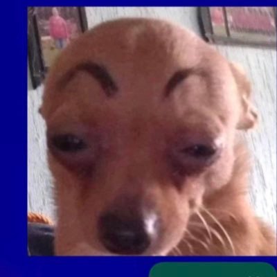 timeESPACIO's profile image
