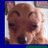 timeESPACIO's profile image