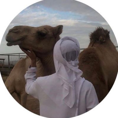 abualkade3345's profile picture. على ناصيةِ الحُلم أَقاتل