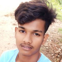 Varsha Singh (@varshasing9119) 's Twitter Profile