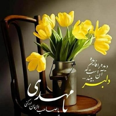 امام زمانی ام
جان نثار رهبرم
عاشق چادر مادرم زهرا