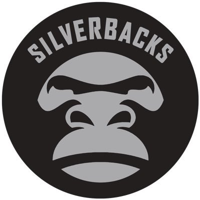 Silverbacks 🦍