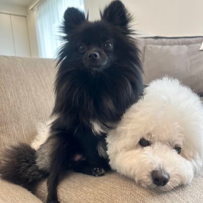 東京都在住。主に下記などアップしてます。 国内の源泉かけ流しの秘湯巡りに九州八十八湯3巡目や、神社・仏閣巡りと御朱印集め、最近城巡りもはじめました。 仕事の関係上、海外はEU圏の仏中心に伊・西など行ってます。 またバケーションで東南アジア(泰)にもたまに行ってます。 アラフィフのおっさんです。よろしくお願いします。