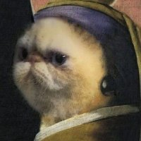 Pınar Genç (@pnargeenc) 's Twitter Profile Photo