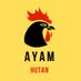 AYAM HUTAN (@ayamhutan100) Twitter profile photo AYAM HUTAN (@ayamhutan100) Twitter profile photo