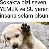 Ahmet ünlü (@123ahmetunlu) 's Twitter Profile Photo Ahmet ünlü (@123ahmetunlu) 's Twitter Profile Photo