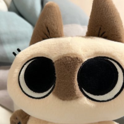 CN 画师 SiameseCat🐈⬛ 中文 English Italiano|Genshin/HonkaiStarrail|🐧🐻🐶|稿件等需求请私信