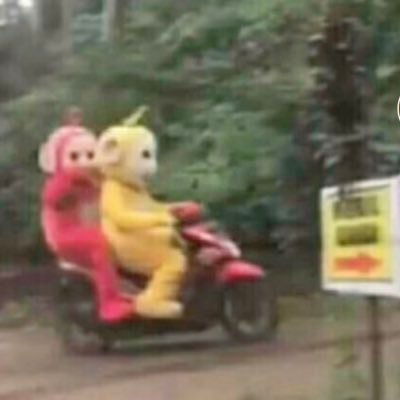 1213Airu's profile picture. 