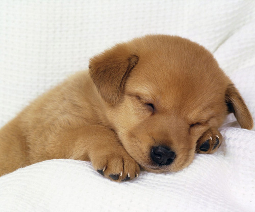 twittme88rus's profile picture. 