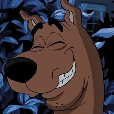 ScoobyDrewSSB Profile Picture