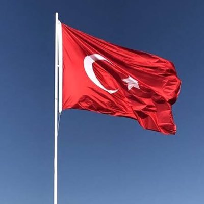 tahaerten4's profile picture. 